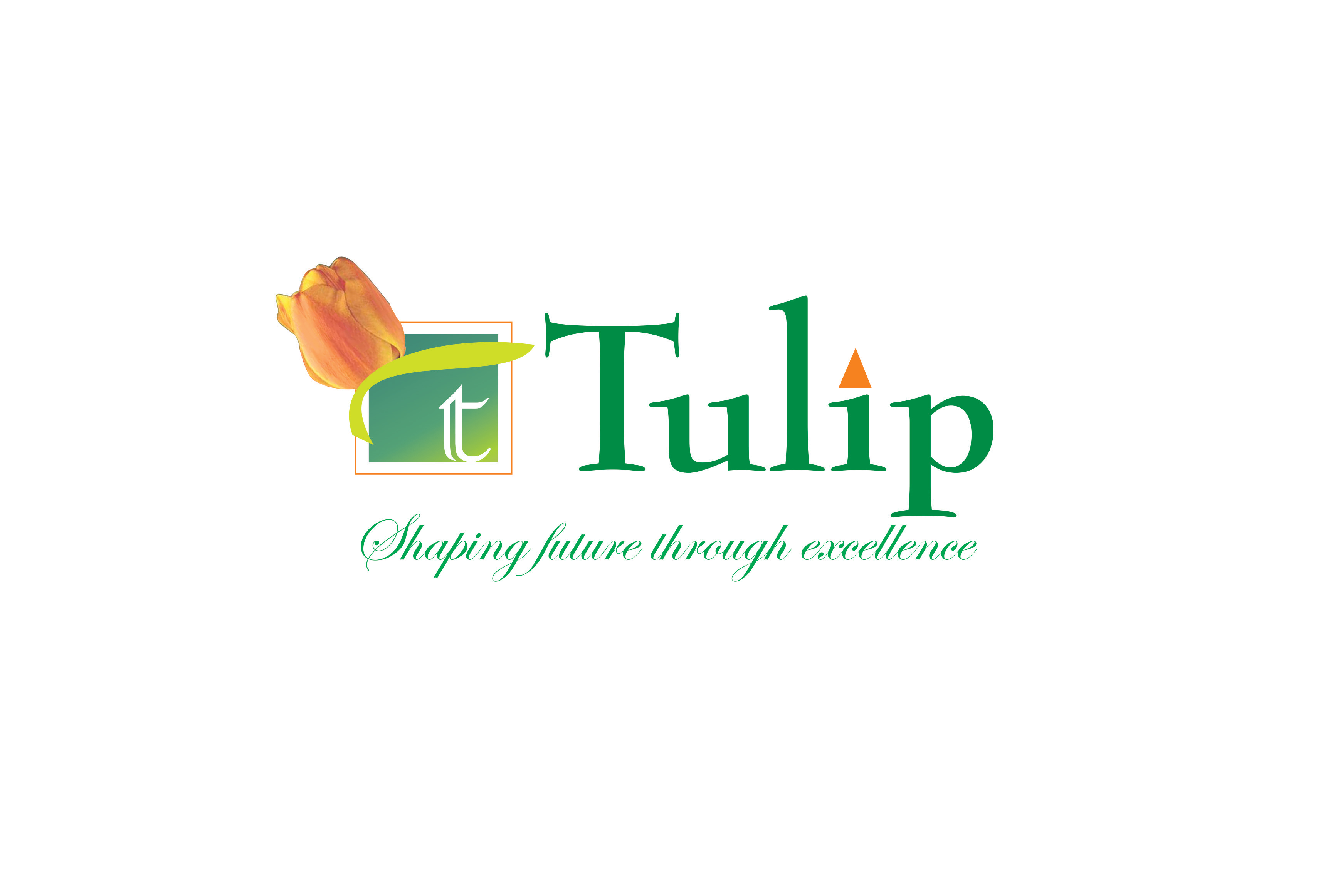 Tulip Infratech
