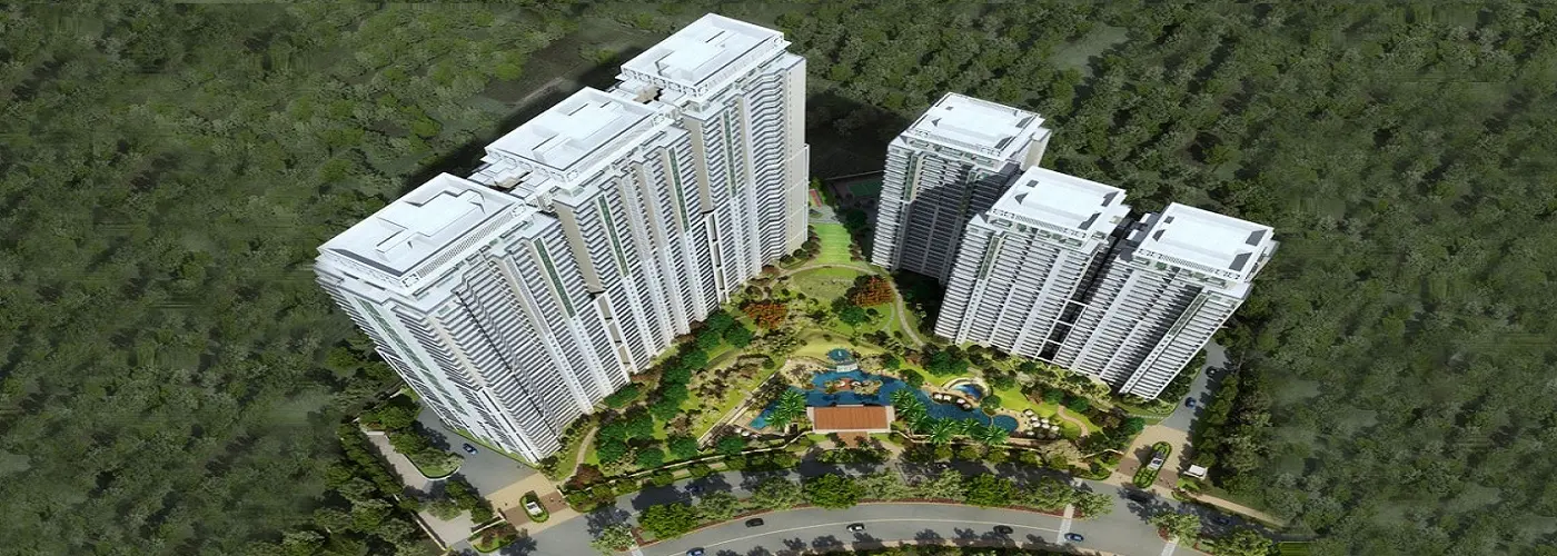 DLF The Crest banner