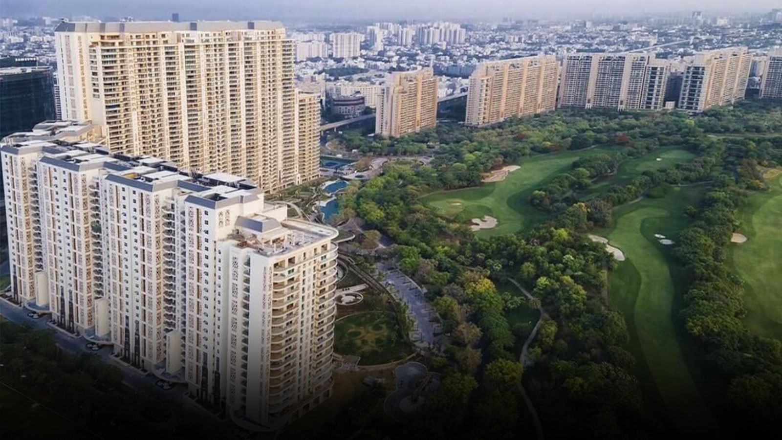 DLF The Dahlias banner