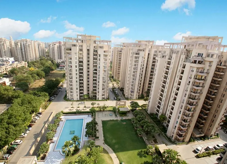 Orchid Petals banner