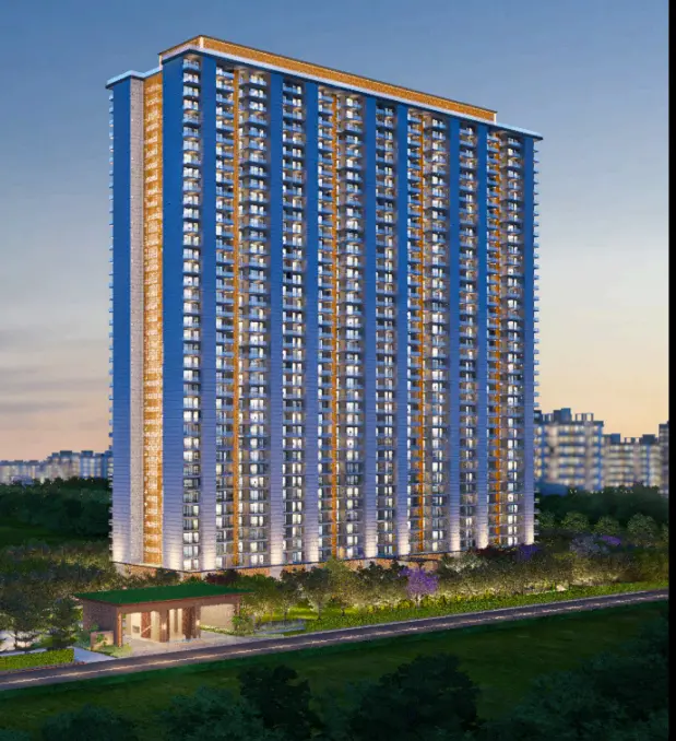 Tulip Melrose banner